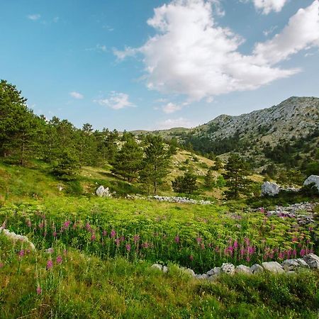 Apartman Magdalena Apartman Makarska Kültér fotó