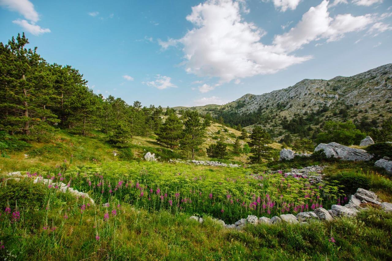 Apartman Magdalena Apartman Makarska Kültér fotó